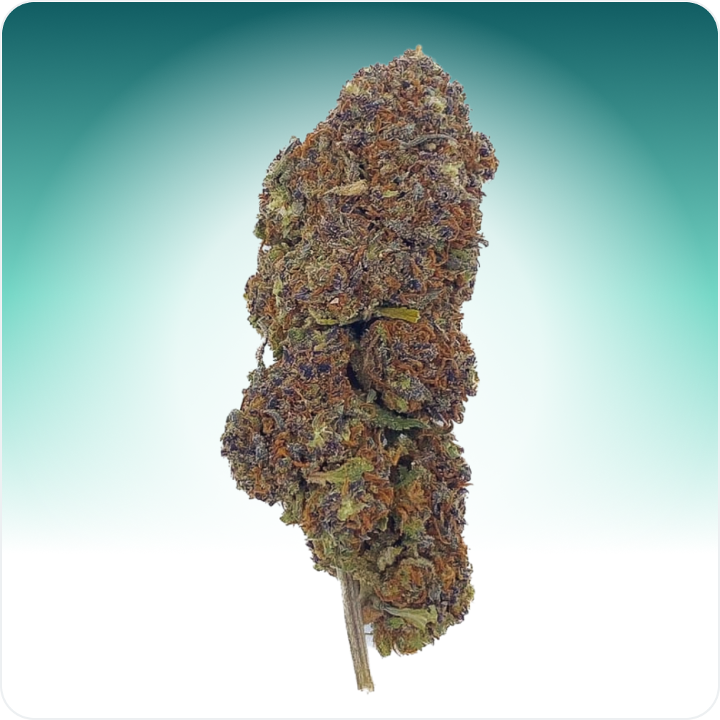 Northern Light Blauw CBD