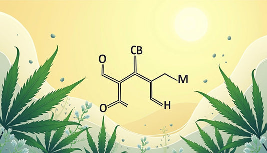 CANNABIDIOL MAFRENCHWEED LIGHT