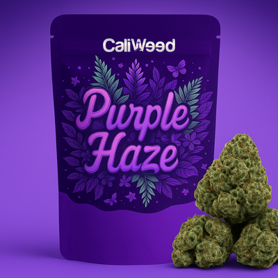 Purple Haze Kleine Knoppen