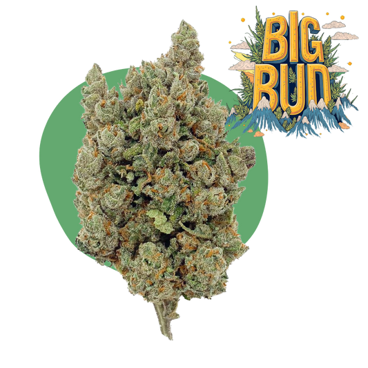 Grote Bud CBD