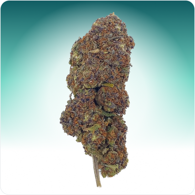 Northern Light Blauw CBD