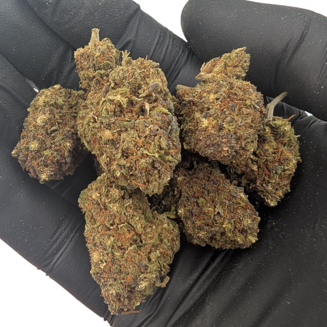 Northern Light Blauw CBD