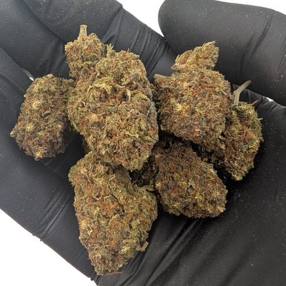 Northern Light Blauw CBD