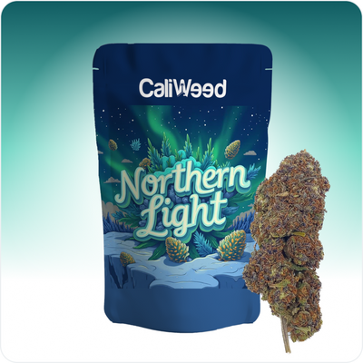 Northern Light Blauw CBD