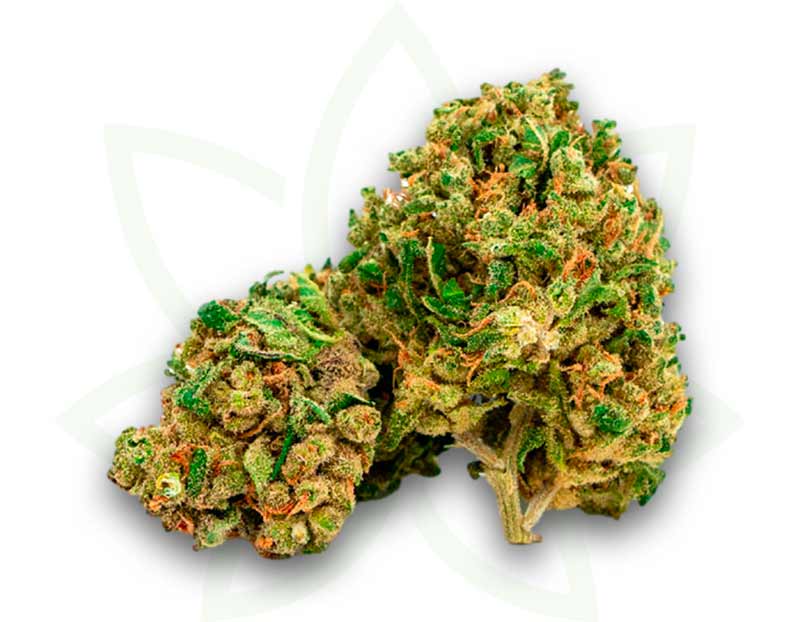 cbd nyc diesel indoor flower 3 5 10 20 50 gram mafrenchweed 1