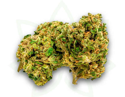 cbd nyc diesel indoor flower 3 5 10 20 50 gram mafrenchweed 2